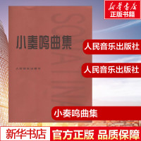 小奏鸣曲集 拜厄钢琴基本教程哈农钢琴练指法红皮书 巴赫车尔尼599人民音乐出版社初级入门基础教程练习曲集 新华书店正版图