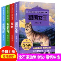 沈石溪动物小说全集感悟生命书系全套共4册 狼国女王 红豺 五彩龙鸟 7-12-15岁儿童文学中小学生课外阅读物 狼王梦作