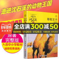 动物小说大王沈石溪·品藏书系骆驼王子儿童文学小说三四五六年级指定寓言故事书书9-12岁儿童青少年小学生课外读物阅读书