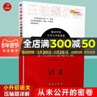 2020新版重点学校从未公开的密卷小考必胜小升初压轴题详解语文小升初总复习压轴题精讲小升初知识大集结六年级上下册含参考答