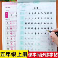 五年级上册语文同步字帖部编人教版教材课本专项正楷书法练字帖小学生字词语练习册写字课课练练字小学楷书硬笔描红书帖钢笔上学期