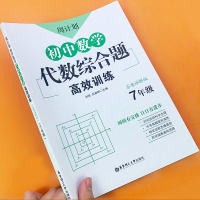 初中数学代数综合题高效训练 七年级 7年级上下册必刷代数题同步训练题库真题 初中初一代数同步练习册解题技巧练习题同步辅导