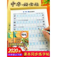 六年级字帖练字帖上册下册寒假衔接部编人教版语文书同步专项训练字本写字课课练每日一练小学生正楷书钢笔书法临摹字帖生字抄写本
