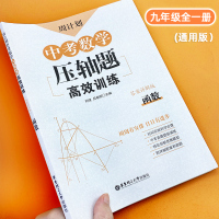 初中必刷题中考数学压轴题周计划函数问题专项高效训练习册中学教辅书七八九年级中学生挑战压轴题型真题全刷全归纳知识集锦总复习