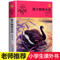 黑天鹅紫水晶 彩色插图本 动物小说大王沈石溪品藏书系第8辑少儿童文学中小学生课外书籍7-12-14岁儿童读物 语文正版书
