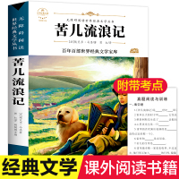 苦儿流浪记 正版书青少年小学生三四五六年级必读课外书9-12-15岁读物儿童文学故事书无障碍阅读经典名著带赏析训练老师推