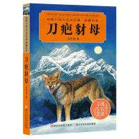 [正版]动物小说大王沈石溪 品藏书系 刀疤豺母 浙江少儿9787534280986