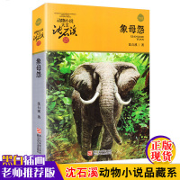 动物小说大王沈石溪品藏书系 象母怨 儿童书8-10-12周岁儿童文学三四五六年级小学生课外阅读故事书 正版书籍 沈石溪动