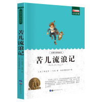 苦儿流浪记 小学生青少年版课外阅读书籍三四五六年级课外书必读世界经典名著3-4-5-6年级8-9-10-12岁儿童文学童