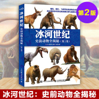 冰河世纪 史前动物全揭秘(第2版) 古生物科普书 史前生命演化轨迹 人类和动物之间的关系 史前生物书 儿童百科知识全书