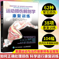 运动损伤解剖学 康复训练 运动解剖学康复书健身 运动解剖体能训练精准拉伸运动解剖书解剖图解利布兰登著