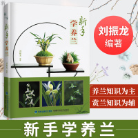 新手学养兰养花 兰花书籍大全 养兰花的书 兰花种植养殖技术 中国兰花全书 兰花书籍大全 鉴赏 养花书籍种花大全植物书籍正