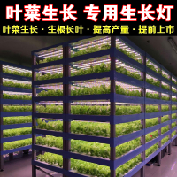 LED红蓝白植物生长灯大棚蔬菜工厂室内水培叶菜全光谱T8补光灯管