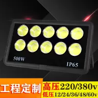 led户外新款cob球场照明射投光灯防水超亮大功率1000W工程低压12v
