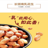 长领卤味花生500g
