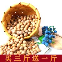 [大连金州不发货]新货铁岭手拍水漏山榛子平榛坚果干果买3赠1