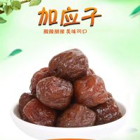 加应子1000g酸甜李子干嘉应西梅子话梅蜜饯果干果脯休闲零食500g