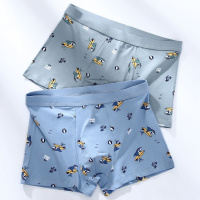 男生内裤男士学生潮流平角15岁男孩四角16岁青少年男内裤衫伊格