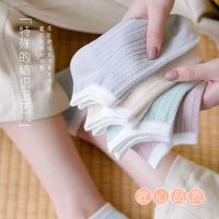 袜子女韩版短袜春夏季薄款透气浅口日系可爱百搭ins潮船袜女衫伊格