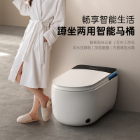 蹲坐两用智能马桶家用全自动一体式可蹲可坐两用带水箱马桶