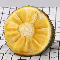 越南红肉菠萝蜜9-13斤