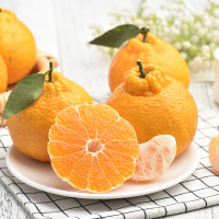 四川不知火丑橘500g±50g