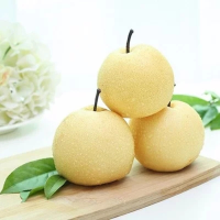 陕西贡梨4个1000g±100g