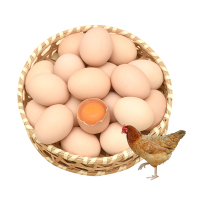 禽宝鲜鸡蛋12枚