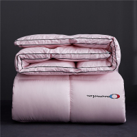 秋冬柔赛丝刺绣立体冬被1.8m/2.0m太空被芯羽丝绒秋冬被保暖被子