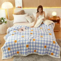 (可做被套)加厚牛奶绒被套毛毯羊羔绒毯子1.8m/2.0m被套毯多功能盖毯