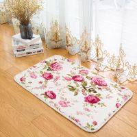 家用厨房吸水防滑地垫浴室卫生间脚垫入户进门门垫卧室地毯地垫子