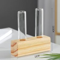 B款 不含植物|[创意木架水培花瓶]绿萝玻璃容器办公室内桌面绿植现代摆件装饰