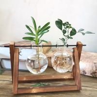 碳化双瓶 带植物|[创意木架水培花瓶]绿萝玻璃容器办公室内桌面绿植现代摆件装饰
