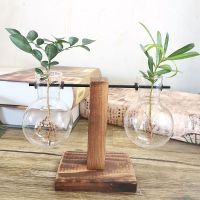 碳化双边架 带植物|[创意木架水培花瓶]绿萝玻璃容器办公室内桌面绿植现代摆件装饰