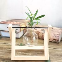 原色单瓶 带植物|[创意木架水培花瓶]绿萝玻璃容器办公室内桌面绿植现代摆件装饰