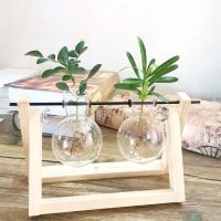 原色双瓶 带植物|[创意木架水培花瓶]绿萝玻璃容器办公室内桌面绿植现代摆件装饰