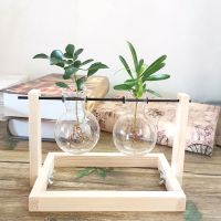 原色方底双瓶 带植物|[创意木架水培花瓶]绿萝玻璃容器办公室内桌面绿植现代摆件装饰