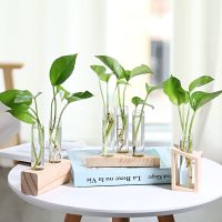 ABC组合套装 不含植物|[创意木架水培花瓶]绿萝玻璃容器办公室内桌面绿植现代摆件装饰