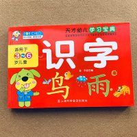 儿童初学识字书大图大字 幼儿园汉字小班中班大班早教学前看图识字书 幼小衔接一年级趣味认字书教材 宝宝学数字识字书 幼儿启