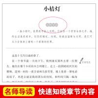天地出版社正版书小桔灯儿童文学冰心读本经典作品选小学生三四五六年级课外书必读班主任推荐阅读小橘灯散文集诗歌集