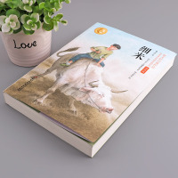 [学校指定版]细米 书 正版曹文轩小学生的儿童文学系列全套五年级六年级课外书必读三四初中生新版课外阅读书籍10-15