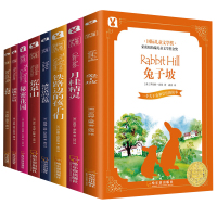 正版国际大奖小说系列全8册全套 兔子坡 秘密花园 胡桃木小姐 世界经典名著8-9-10-12岁小学生课外书阅读三四五六年