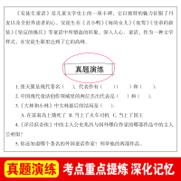 正版大林和小林张天翼非注音10-15岁二年级与三年级四年级四五年级五六4-6必读经典书目海豚小学生课外阅读书籍出版社儿童