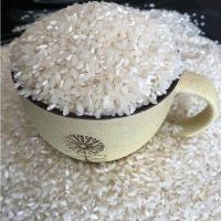 安徽新农家糙早稻米早籼米不粘不糯肠粉米线专用陈早米炒饭汕5斤