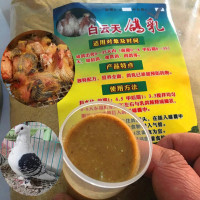 鸽乳7-30天5斤装奶粉饲料鸟食信鸽观赏鸽奶粉人工灌喂幼鸽