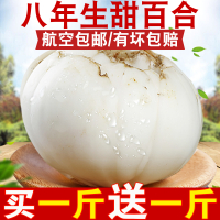 甘肃兰州百合新鲜百合500g纯食用天然生甜白合非干货特产特级