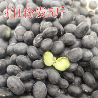 绿心黑豆大黑豆苏北农家自产青仁黑豆醋黑豆可作黑豆种籽5斤