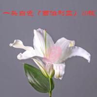 云南鲜花 百合 香水百合 空运 生活鲜花 插花A级鲜花10枝