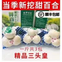 甘肃兰州百合特级新鲜百合新鲜纯天然食用甜百合非干农家500g