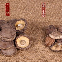 小香菇干货蘑菇干金钱菇野生椴木菌类特级冬菇200g庆元珍珠菇